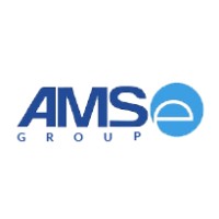 AMS eGroup logo - Similar company to Eretail Logistics