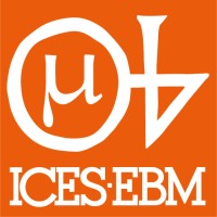 ICES-EBM Srl logo - Similar company to Rmt Srl