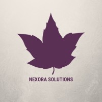 Nexora Solutions logo - Similar company to Researchs Edge Solution