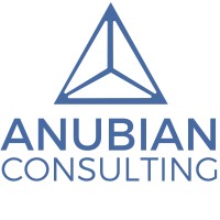 Anubian Consulting logo - Similar company to Edson Consulting