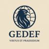 GEDEF Explosives logo - Similar company to Advanced Procurements