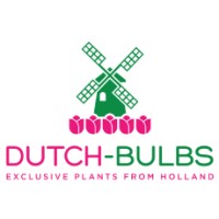 DUTCH-BULBS.NET logo - Similar company to Dutch-Bulbs.Com