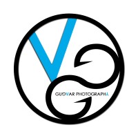 Gugvar Media Llc