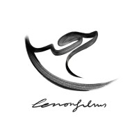 Lenonfilms logo - Similar company to Escuela De Ventas Almeria