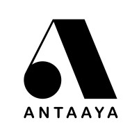 Antaaya Infotech logo - Similar company to Vedx Technologies