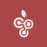 Grapes Group logo - Similar company to Visionied