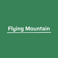 Flying Mountain logo - Similar company to Adscientists