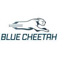 Blue Cheetah Analog Design, Inc. logo - Similar company to Staric