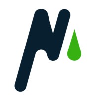 NeedPrint | printing house & print management logo - Similar company to Impresspro | Web Development & It Business Partner