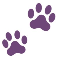 Wildcat Product