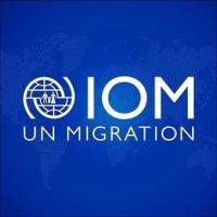 Displacement Tracking Matrix (DTM) logo - Similar company to Internal Displacement Monitoring Centre (Idmc)