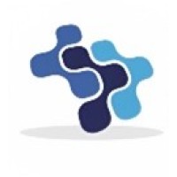 Digital Solution Group logo - Similar company to Digital Solution Group