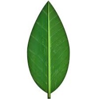 Mainstream Masala Food Company logo - Similar company to Masala Haat