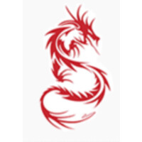 Dragon Securities Ltd.