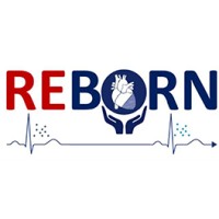 REBORN logo - Similar company to Greener Project