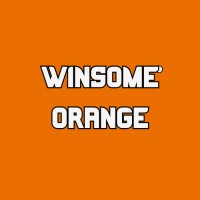 Winsome Orange logo - Similar company to Cutting-Edge Market Research