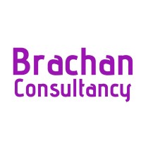 Brachan Consultancy logo - Similar company to Just Smart Thinking