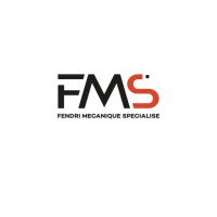 FMS logo - Similar company to Nak Kargo