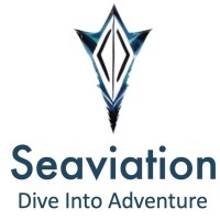 Seaviation Technologies logo - Similar company to Icode Electronic
