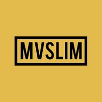 MVSLIM logo - Similar company to Building Capital Inc