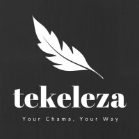 Tekeleza.com logo - Similar company to Razor Informatics
