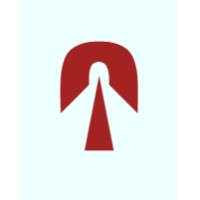 Tunnelise logo - Similar company to Dev, In | Ai Solutions