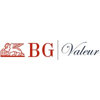 BG Valeur SA logo - Similar company to Bluezone Project