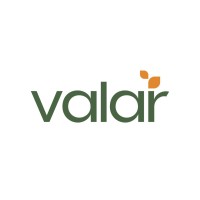 Valar logo - Similar company to Arde Interactive