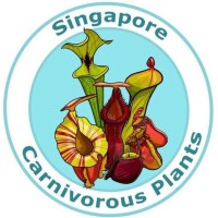 Singapore Carnivorous Plants logo - Similar company to Synchrome