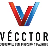 VECCTOR logo - Similar company to Vecctor Gmbh