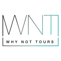 WN TOURS GROUP TRAVEL COMPANY LTD. ŞTİ. logo - Similar company to Teo Global Travel Agency