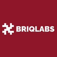 Briqlabs logo - Similar company to Prudent Services & Solutions