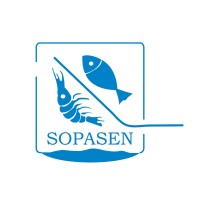 SOPASEN SA logo - Similar company to Affic Group