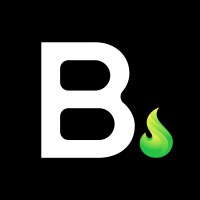 Braza.io logo - Similar company to T3W Tecnologia