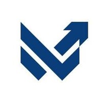 Wektor Consulting logo - Similar company to Mscg
