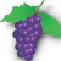 Birmingham Grapevine logo - Similar company to Linguaphone Group