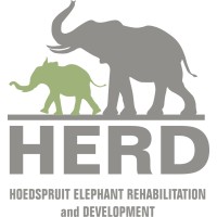 Herd - Hoedspruit Elephant Rehabilitation And Development