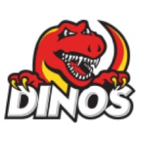 Dino Women'S Volleyball Club