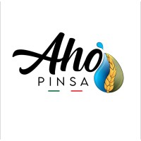 Aho Pinsa Lab logo - Similar company to Borboletta