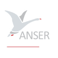 Anser Implants logo - Similar company to Akadimi Foundation