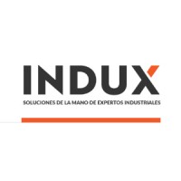 INDUX logo - Similar company to Tammex