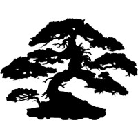 Bonsai As