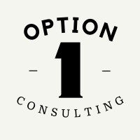 Option 1 Consulting logo - Similar company to Verge Management Group