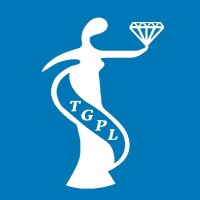 Traditional Group logo - Similar company to Traditional Jaipur