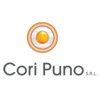 Cori Puno S.R.L. logo - Similar company to Corani