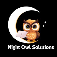 Night Owl Solutions logo - Similar company to Appealmate, Inc.