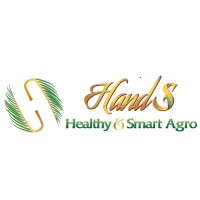 HandS logo - Similar company to Bss Substrates