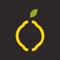 Lemonade logo - Similar company to Sales Stream 𝑪𝒐𝒏𝒔𝒖𝒍𝒕𝒊𝒏𝒈