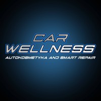 Carwellness logo - Similar company to Car Genix