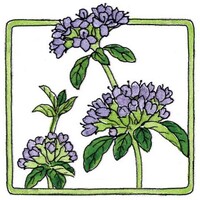 Pennyroyal Farm